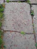 image of grave number 840867